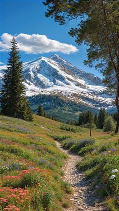 a dirt path leading to a mountain with wildflowers in the foreground