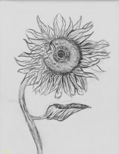 pencil depressing Cool Objects To Draw, Interesting Things To Draw, Cool Pictures To Draw, Cool Things To Draw, Indian Drawing, Cool Easy Drawings, Ballerina Drawing, Beginner Sketches, Sunflower Images