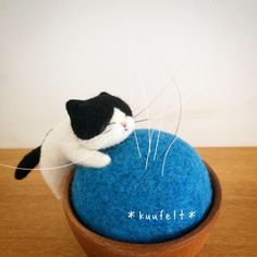 a black and white cat sitting on top of a blue bowl with needles sticking out