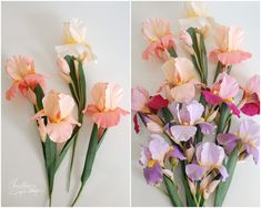 two pictures of pink and purple flowers with green stems