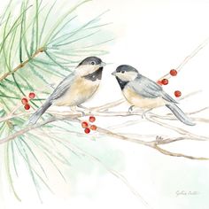 two birds sitting on a branch with berries in their beaks and pine needles behind them