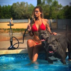 447 mentions J’aime, 3 commentaires - Doggo is love Doggo is life (@a.doggo.lover) sur Instagram : " #girlswithbullies #americanbully #americanbullys #americanbullies @mireiapairo…" Perro Doberman Pinscher, Bully Pitbull, Cane Corso Puppies, Fierce Animals, American Pitbull, Real Dog