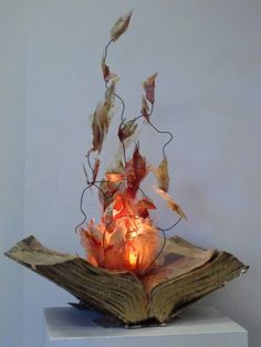 an open book sitting on top of a table next to a lit up flower arrangement