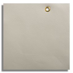 a white leather background with a gold ring on the bottom right corner and an empty space in the middle