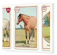 three different cards with horses on them