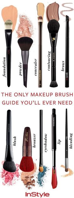 Trying to figure out what makeup brush to use? Our definitive guide is all you need. Makeup Brush Guide, Which Makeup, Alat Makeup, Artist Makeup, Blending Eyeshadow