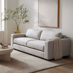 a living room with a couch, coffee table and potted plant