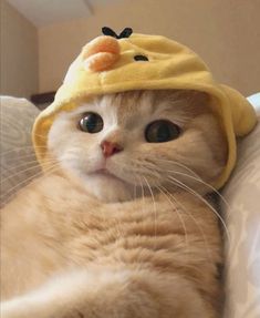 a cat laying on top of a bed wearing a yellow towel over it's head