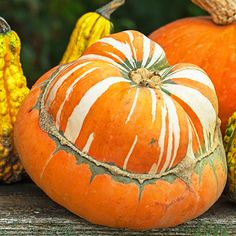 pumpkins and gourds are sitting on a table