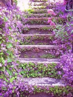 stairs covered in purple flowers and greenery