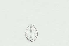 a drawing of a leaf on a white background