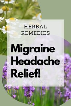 How to make herbal remedies for Headaches and Migraines. These herbs are perfect for helping you fight headaches and migraines with a nice cup of herbal tea. Learn what herbal remedies are best for you and mix your own herbal tea recipe for headache relief. Herbal Migraine Remedies, Herbs For Headache, Herbs For Migraines Headache Relief, Herbal Headache Relief, Headache Tincture Recipe, Tea For Migraines Headache Relief, Herbs For Headaches Migraine Relief, Natural Remedy For Headache, Natural Headache Relief Migraine