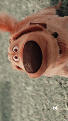 a close up of a dog's nose and mouth