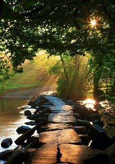 the sun shines brightly through the trees over a river lined with rocks and stones