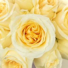 a bouquet of white and yellow roses in close up view with focus on the center