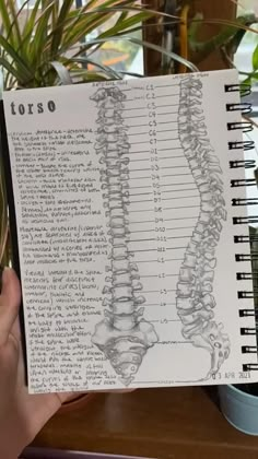 a person holding up a book with an image of the human skeleton on it's cover