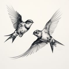 two birds flying next to each other on a white background with black and grey ink