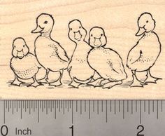 a rubber stamp with three ducks and one duckling sitting on the ground next to a ruler