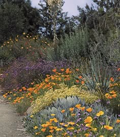 an image of a garden setting with flowers and plants in the foreground, along side a dirt path