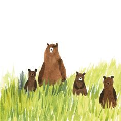 three bears are standing in the tall grass with one bear looking at the camera while another stands behind them