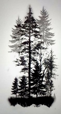 a black and white photo of trees in the snow