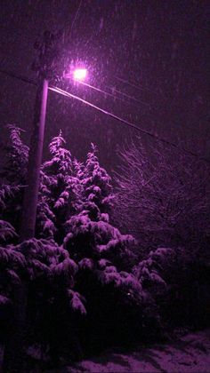 a street light in the middle of a snowy night with snow on trees and bushes