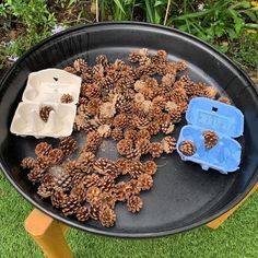 some pine cones are sitting in a black bowl on the grass next to a blue plastic container