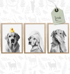 three framed pictures of dogs with a rubber ducky on their head, one in black and white