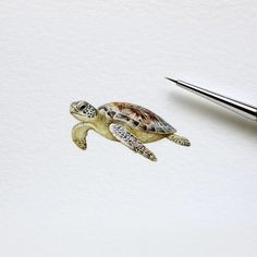 a drawing of a sea turtle next to a pen