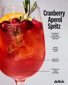 the anatomy of a cranberry aperoli spritz cocktail with ingredients