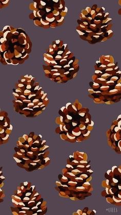 an image of pine cones on a purple background with brown and white dots in the middle