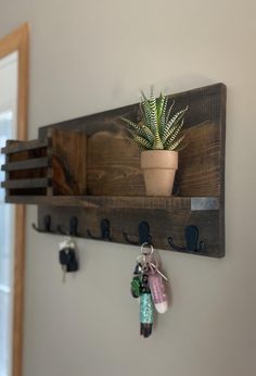 a potted plant sitting on top of a wooden shelf next to two key hooks