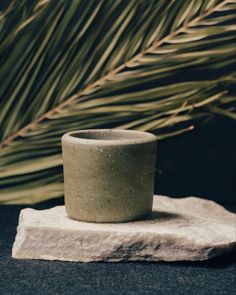 a small cup sitting on top of a rock next to a palm tree branch in the background