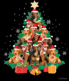 a group of dogs wearing christmas hats and sitting in front of a christmas tree with presents