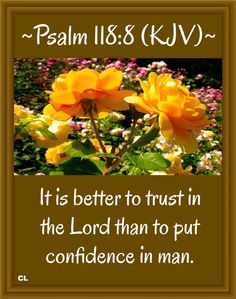 a yellow rose with the words, it is better to trust in the lord than to put