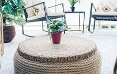 a living room with chairs, tables and a plant in the middle of the room