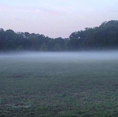 a foggy field with trees in the distance and no one on it at all