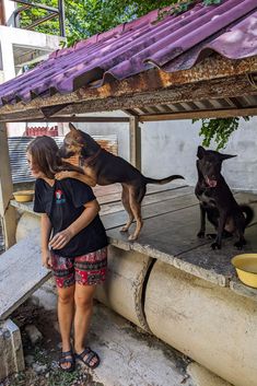 a woman standing next to a dog on top of a cement slab under a purple tarp