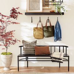 three purses hanging on the wall next to a bench with two plants and a potted plant