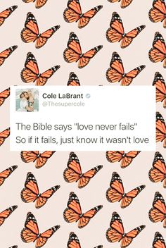 an image of a bunch of butterflies on a pink background with the caption'the bible says love never falls so if it falls, just know it doesn '