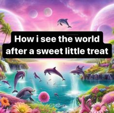 dolphins jumping out of the water in front of some flowers and trees with text saying how i see the world after a sweet little treat