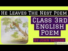 @Learning & Development  
He leaves the Nest Class 3rd Poem 
#heleavesthenest
#johnbrough
#class3rdpoemheleavesthenest
#heleavesthenestenglishpoem
#heleavesthenestandflaphiswings
#Englishpoemclass3
#classthreeenglishpoemheleavesthenest English Rhymes, Fancy Dress For Kids, Learning And Development, Primary School, Nursery Rhymes, Kids Playing, The Creator