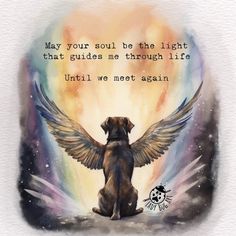 a painting of a dog with wings on it's back and the words, may your soul be the light that guides me through life until we meet again