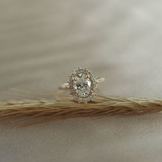 a diamond ring sitting on top of a wheat stalk