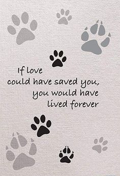 a white towel with black and grey paw prints on it, saying if love could have saved you, you would have lived forever