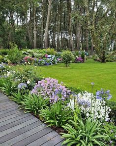 the garden is full of colorful flowers and trees