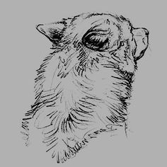 a black and white drawing of a dog's head with its eyes closed, looking to the side