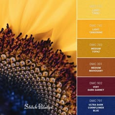 a sunflower is shown with different colors in the center and bottom half of it