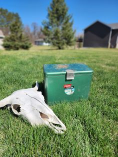 an animal's skull laying in the grass next to a green cooler on the ground