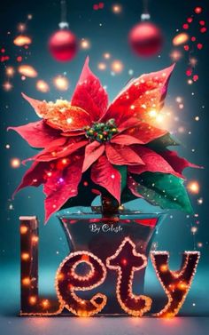 a poinsettia in a pot with the word joy spelled out below it